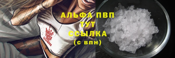 индика Гусев