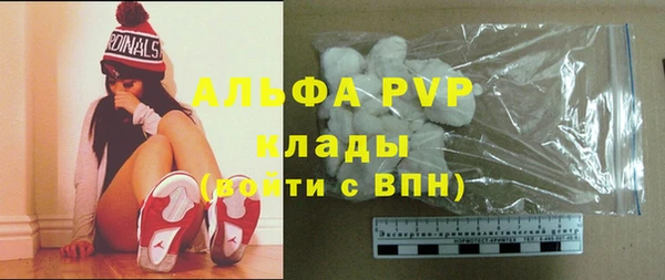 сатива Гусиноозёрск