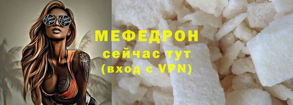 индика Гусев