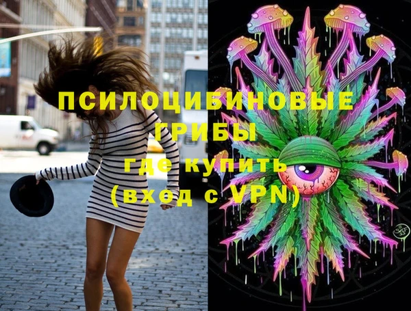 индика Гусев