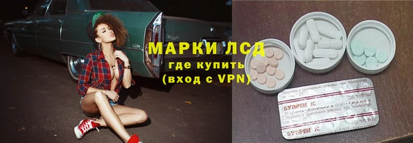 индика Гусев