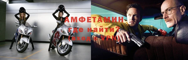 индика Гусев