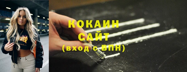 индика Гусев