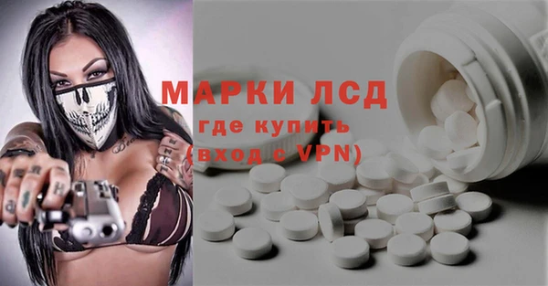 сатива Гусиноозёрск