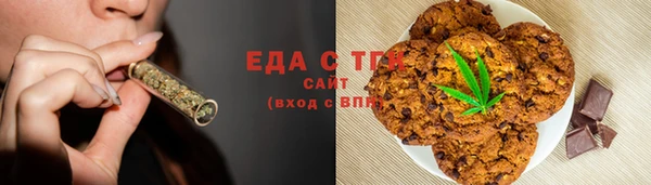 индика Гусев