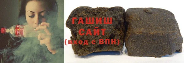индика Гусев