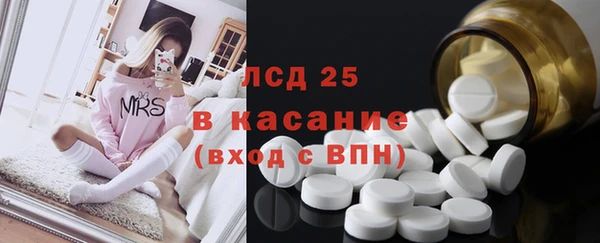 сатива Гусиноозёрск