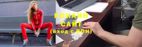 сатива Гусиноозёрск