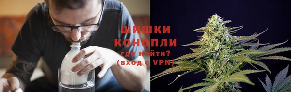 сатива Гусиноозёрск