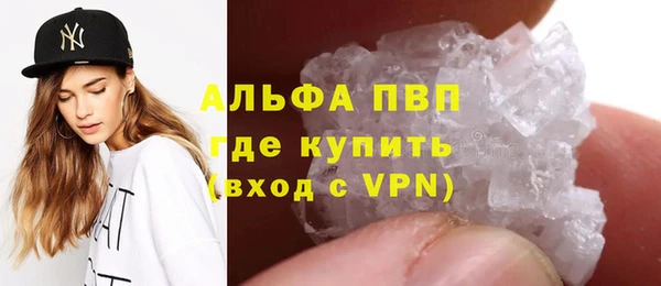 индика Гусев