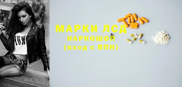 сатива Гусиноозёрск
