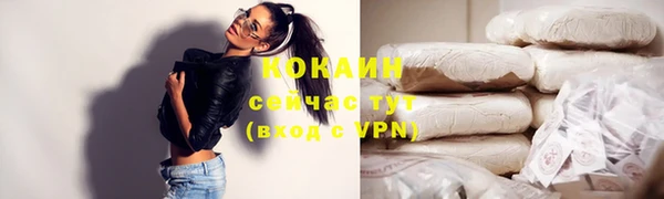 индика Гусев