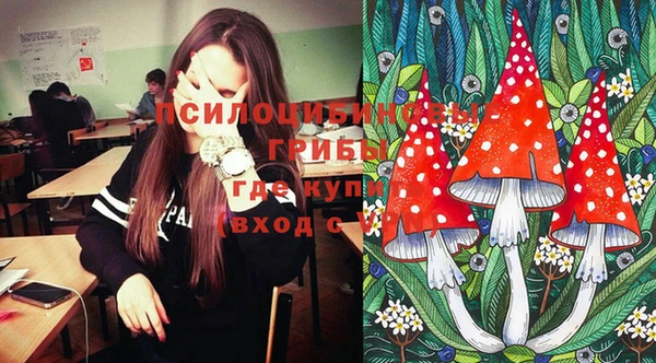 сатива Гусиноозёрск