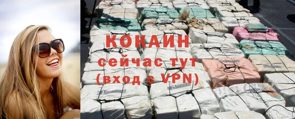 индика Гусев