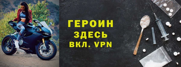 индика Гусев