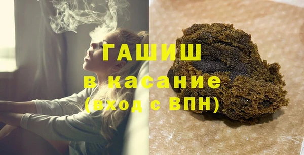 индика Гусев