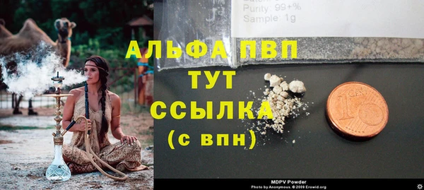 сатива Гусиноозёрск