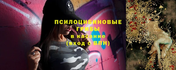 сатива Гусиноозёрск