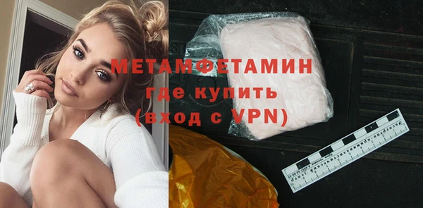 индика Гусев