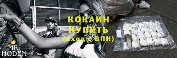 индика Гусев