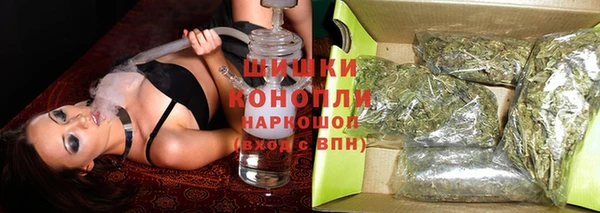 сатива Гусиноозёрск