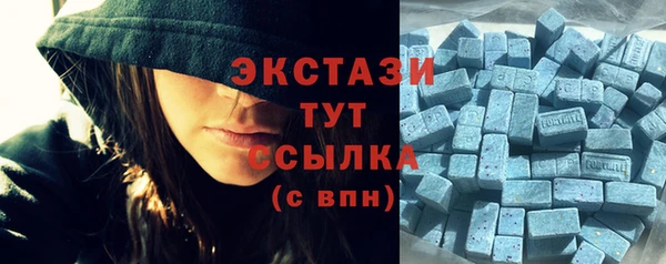 сатива Гусиноозёрск