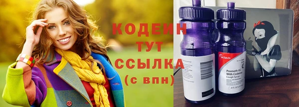 индика Гусев