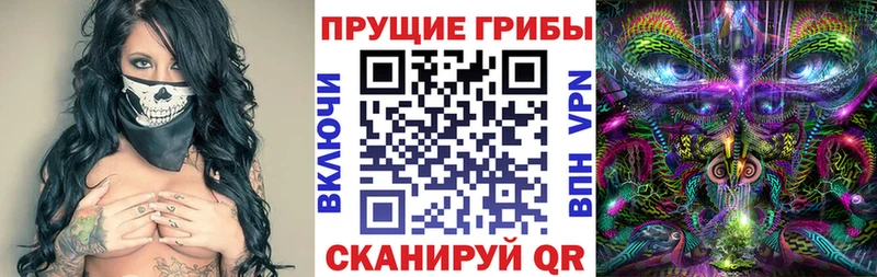 Псилоцибиновые грибы GOLDEN TEACHER Курчатов